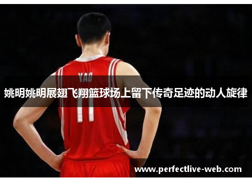 姚明姚明展翅飞翔篮球场上留下传奇足迹的动人旋律