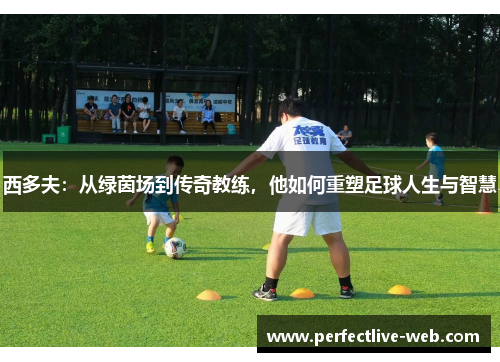 西多夫：从绿茵场到传奇教练，他如何重塑足球人生与智慧