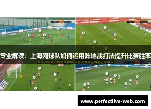 专业解读：上海网球队如何运用阵地战打法提升比赛胜率