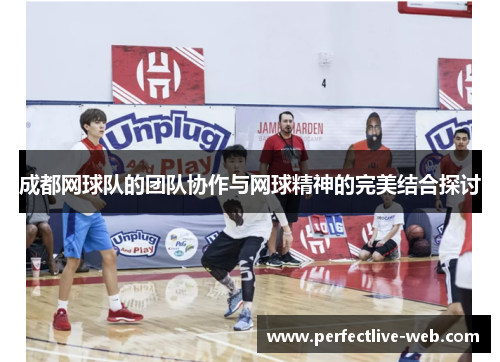 成都网球队的团队协作与网球精神的完美结合探讨