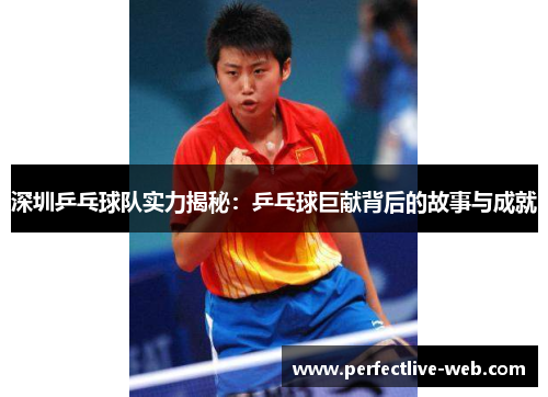 深圳乒乓球队实力揭秘：乒乓球巨献背后的故事与成就