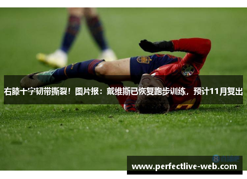 右膝十字韧带撕裂！图片报：戴维斯已恢复跑步训练，预计11月复出