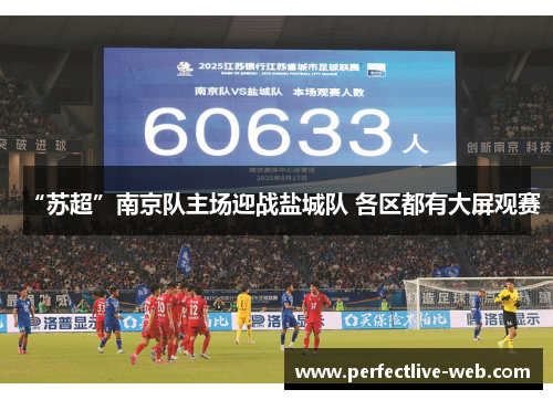 “苏超”南京队主场迎战盐城队 各区都有大屏观赛
